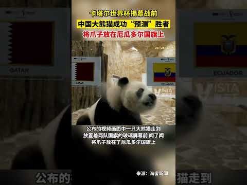 原神五年磨,砺成就,站之冠,捷报足球比分,捷报比分官网,捷报体育,捷报网页版,捷报app下载电脑版